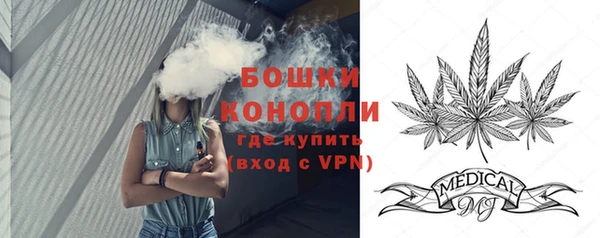 дурь Няндома