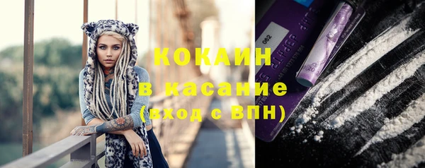 mdpv Каменка
